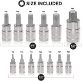 13PC Socket Drive Tork Driver Tool Bit Set