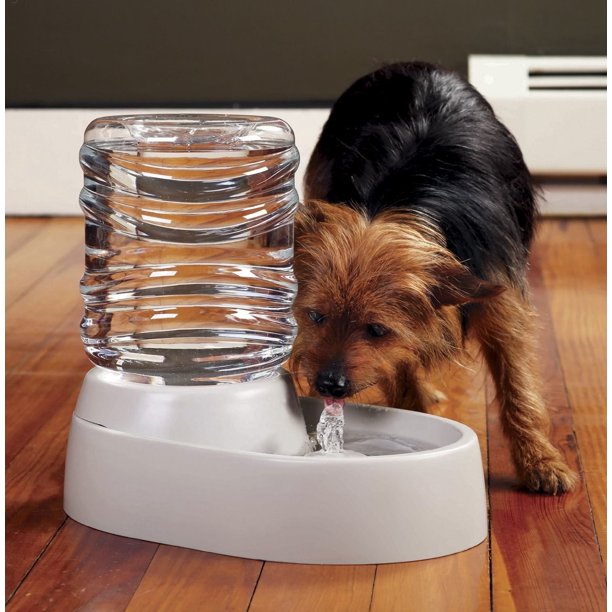 Auto Flow Pet Water Fountain for Cats and Dogs - 62 Oz Capacity, Wall Plug In