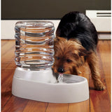 Auto Flow Pet Water Fountain for Cats and Dogs - 62 Oz Capacity, Wall Plug In