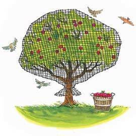 Netting for Fruit Vegetable Plants Garden Trees Anti Bird Pest Control Net - tool