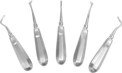 5 Piece Hand Stainless Steel Wood Carving Chisel Woodworking Sculpting Tool Set Kit - tool