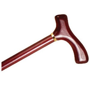 Women's Fritz Handle Wooden Cane - tool