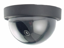 Fake Dome Security Camera - tool