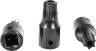 15 Piece Male Tamper Proof Resistant Tork Bit Socket Torx Socket Driver Tool Set - tool